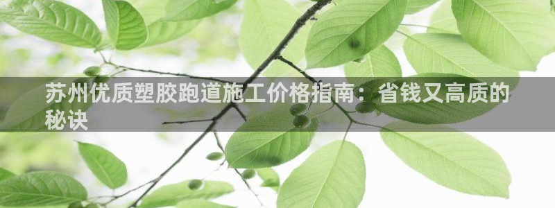 尊龙凯时产品种类：苏州优质塑胶跑道施工价格指南：省钱又高质的
秘诀