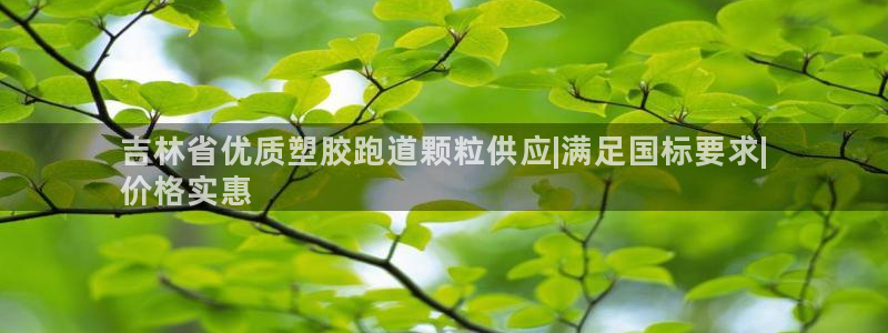 尊龙凯时电竞注册：吉林省优质塑胶跑道颗粒供应|满足国标要求|
价格实惠