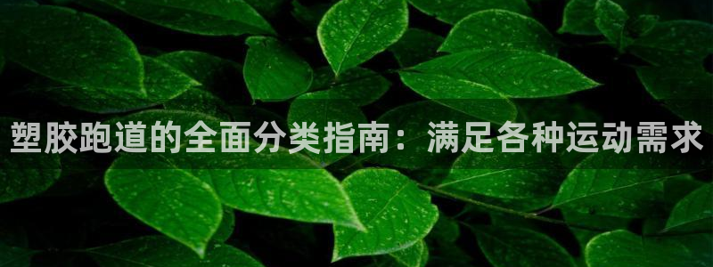 尊龙人生就是傅官网：塑胶跑道的全面分类指南：满足各种运动需求