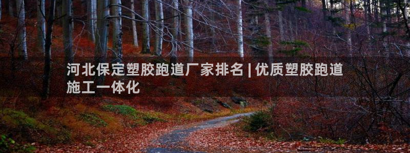 尊龙凯时人生就是博官网登录：河北保定塑胶跑道厂家排名 | 优质塑胶跑道
施工一体化