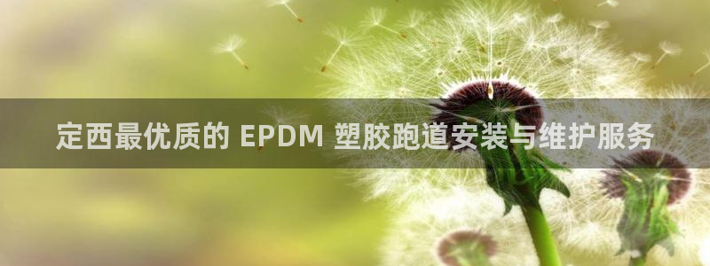 尊龙2016：定西最优质的 EPDM 塑胶跑道安装与