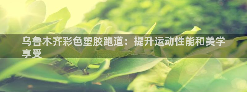 尊龙凯时城游戏官网：乌鲁木齐彩色塑胶跑道：提升运动性能和美学