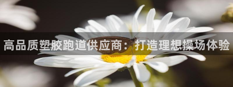 凯时登录首页,凯时K66：高品质塑胶跑道供应商：打造